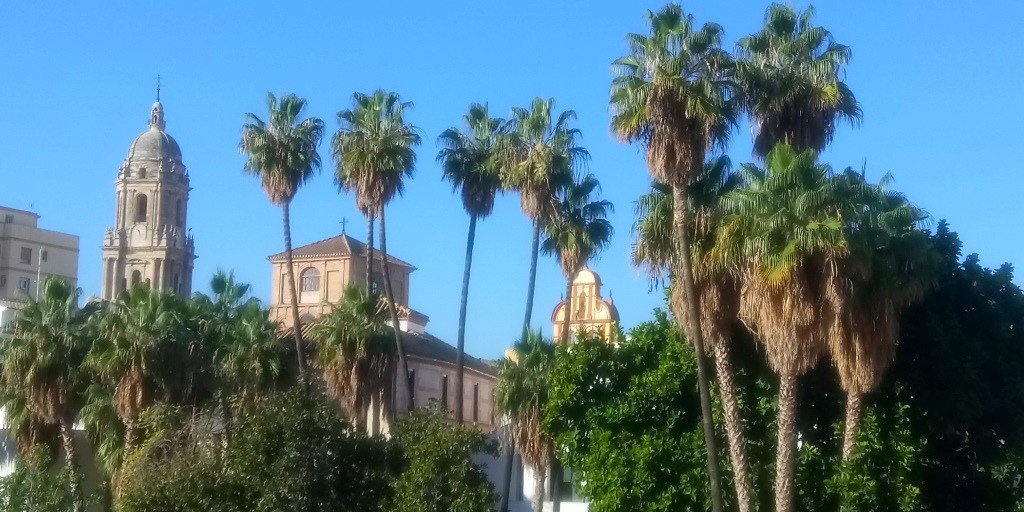 Malaga skyline with palms, Cathedral tower and bell towers