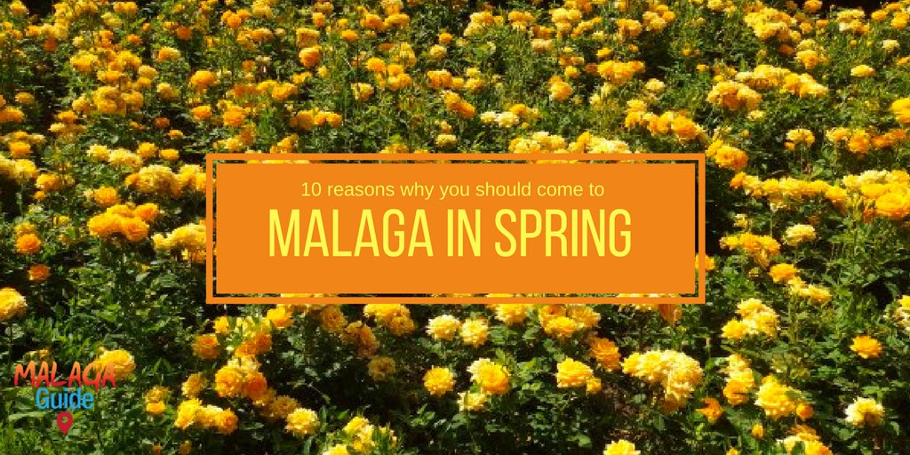 malaga in spring