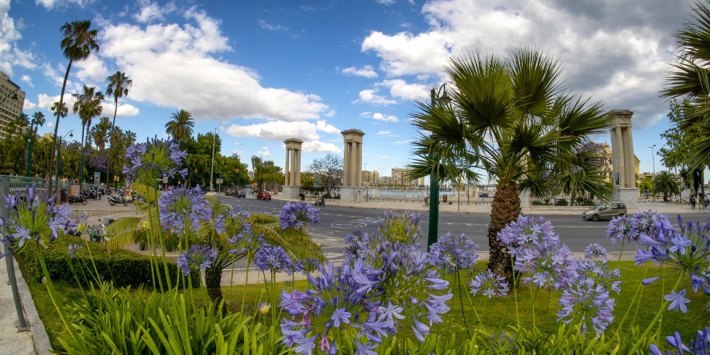 Flowers at the entrance to Malaga Port