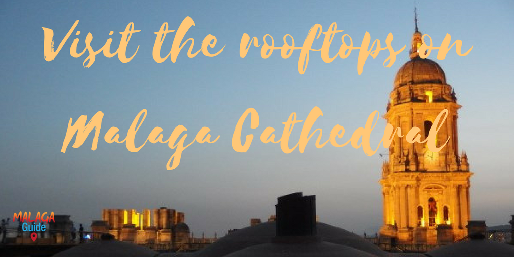 visit Malaga Cathedral rooftops
